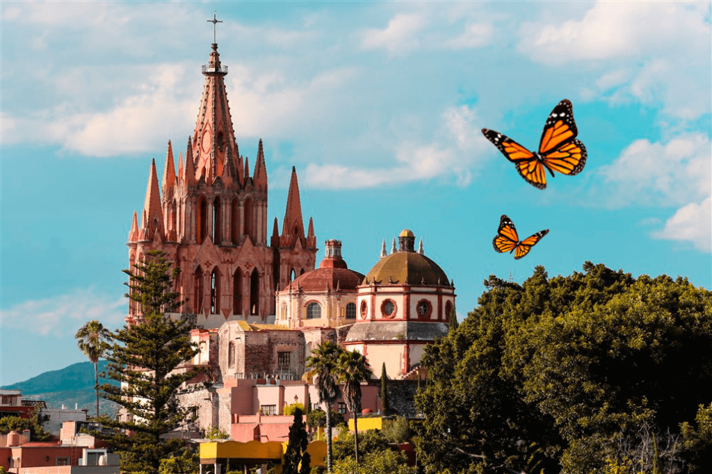 ¿Sabías Que Las Mariposas Monarca Pasan Por San Miguel de Allende?