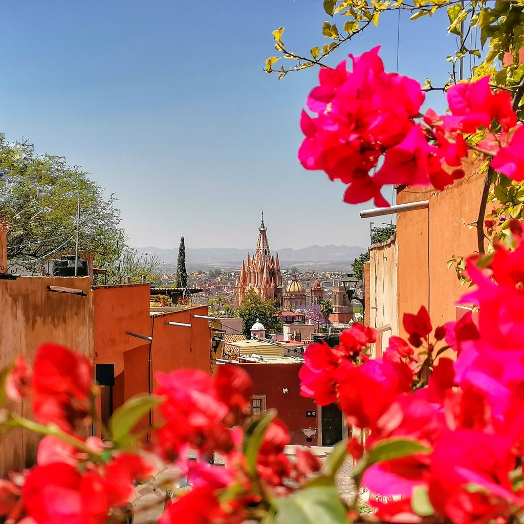 Las Mejores Terrazas de San Miguel de Allende